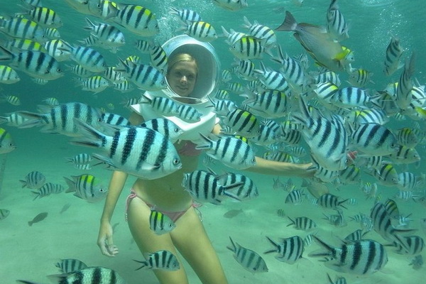 Coral Island Banana Boat Sea Walking Parasailing Tour