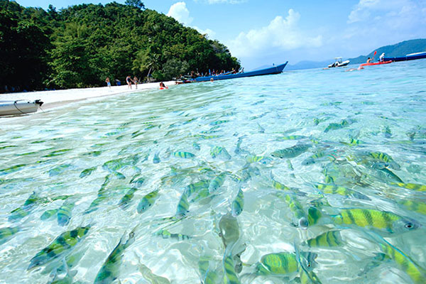 Coral Maiton Raya Island Tour